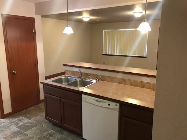 Kitchen with a double sink, dishwasher, wooden cabinets, and overhead lights.