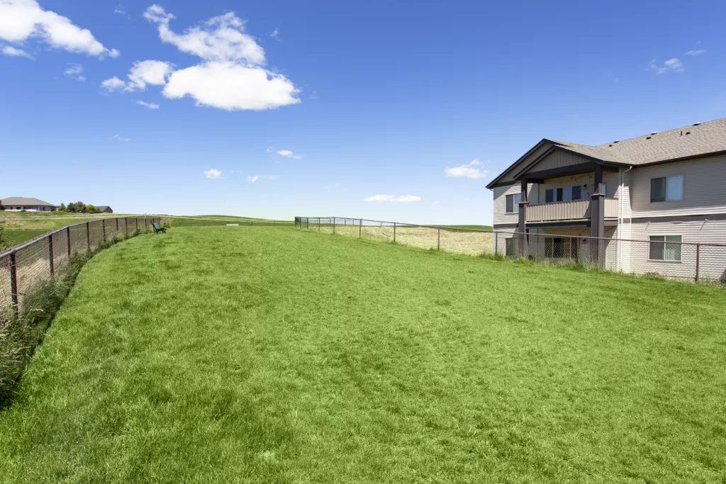 A grassy field next to a residential house with a fence, under a clear blue sky.