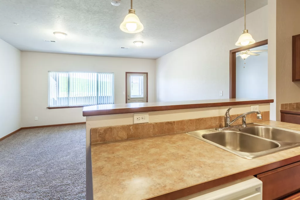 Kitchen with a double sink and counter overlooking an open living space with carpet flooring and a large window.